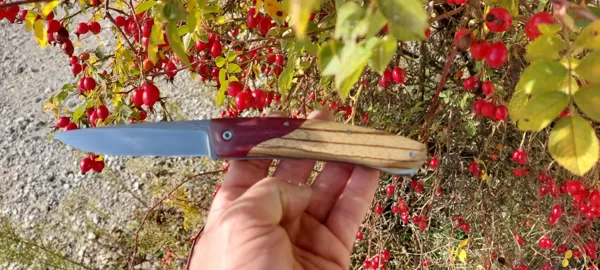 Manche en bois Amarante et Poirier